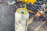 I want to be the kind of person that will stick a daisy in a beer can.
