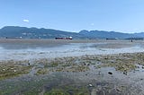 Low tide with seaweed in the foreground and mountains against a clear blue sky.