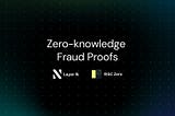 Zero-knowledge Fraud Proofs