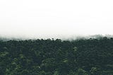 Ensaios.05 — Aproximações entre Educação Ambiental e Educação Patrimonial em Unidade de…