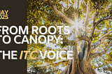 Tribal Forestry: Weaving a Web, Not Climbing a Ladder