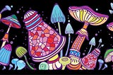 The No-fail Beginner’s Guide to Growing Magic Mushrooms — Part II