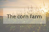 #16 The corn farm
