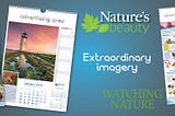 Corporate Calendars-promotionalcalendars.co.uk