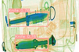 YOLOv10 Custom Object Detection
