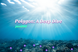 Polygon: A Deep Dive