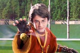 Harry Potter catching the snitch as an allogory to being a startup founder. Young Harry Potter reaches for the ultimate goal, the golden snitch. The elusive golden orb of our dreams that will win us the game.