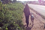 Eze Ossai_Travels Around Nigeria_Jalingo Road, Taraba State (2018)