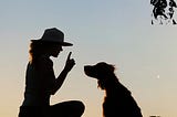 PUPPY TRAINING IN SYDNEY