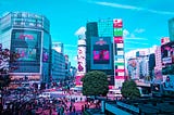 Anime Tokyo Views