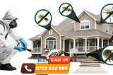 #1 Pest Control Services in Nairobi