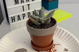 The Happification of My 9 to 5