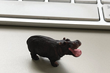 Image of a toy hippo.