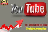 I will fast youtube channel promotion organically