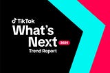 Navigating the Grand Line of Digital Trends: TikTok’s Voyage into 2024