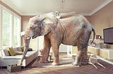 Image of “the elephant in the room.” A full-size elephant stands in the center of an otherwise normal-looking living room.