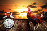 The Gift of Time: How One Extra Hour Changed the World