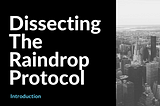 Raindrop Protocol