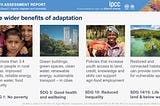 Nature-based Solutions for Climate Adaptation