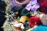 collage of mixed colors of dyed wool with lichen, moss, mushroom, lemon peel, periwinkle blossom, lacinato kale, sprouted garlic