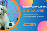 At-Home Pet Grooming In Bangalore