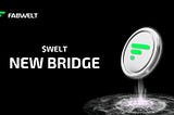 WELT Token Bridge Plan: Important Steps and What You Need to Know