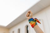 What do we want from our LGBTQI+ history
