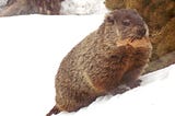 Emerging from hibernation