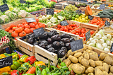 Average Cost of Groceries per Month