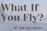 What if You Fly?