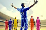 Impact of the IPL 2024 Season