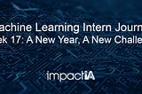 Machine Learning Intern Journal — A New Year, A New Challenge