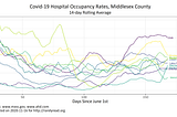 Charts: Covid-19 Occupancy Rate for Every Massachusetts Hospital