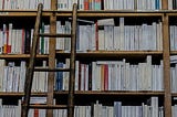 Vida de Pesquisador: Pesquisa Bibliográfica e Fichamento. Por que e como fazer?