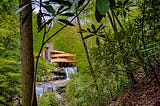 A look at Frank Lloyd Wright’s Fallingwater through the trees nearby