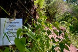 Photo of a typewritten sign pinned to a tree with the words “Trail narrows ahead Please use extreme caution” on a narrow mountain trail with lots of shrubs and trees.