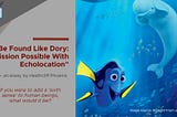 Be Found Like Dory: Mission Possible With Echolocation