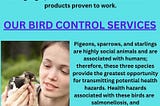 Bird Deterrent Products