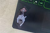 Sticker On Your Laptop