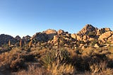 NY to LA by Civic: Day 14