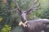 Why I Put a Ribbon on a Stag
