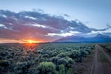 Celebrating Conservation Champions
