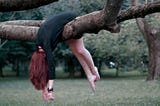 photo of a woman on a tree branch