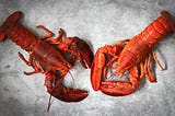Stop Chasing the Hype: An Honest Review of OpenClaw
