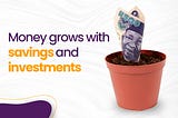 Money grows with savings and investment (with photo)