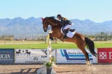 Cover photo for operations research blog post. A horse rider jumping over an obstacle.