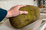 Jackfruit — An Ugly-Looking Tropical Fruit That Tastes Like Bubblegum