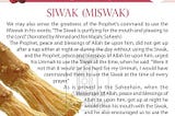 Why Dentists and Scientists Recommend Miswak (مسواك) for Tooth Pain Defence?