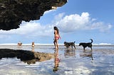 Girl with dogs walking through water in a tropical place, blue sky