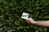 TV Shows I’ve Seen That Suck (And Don’t Recommend)